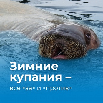 Зимние купания: мнение эксперта Демидовского университета
